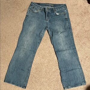American Eagle Hipster Jeans